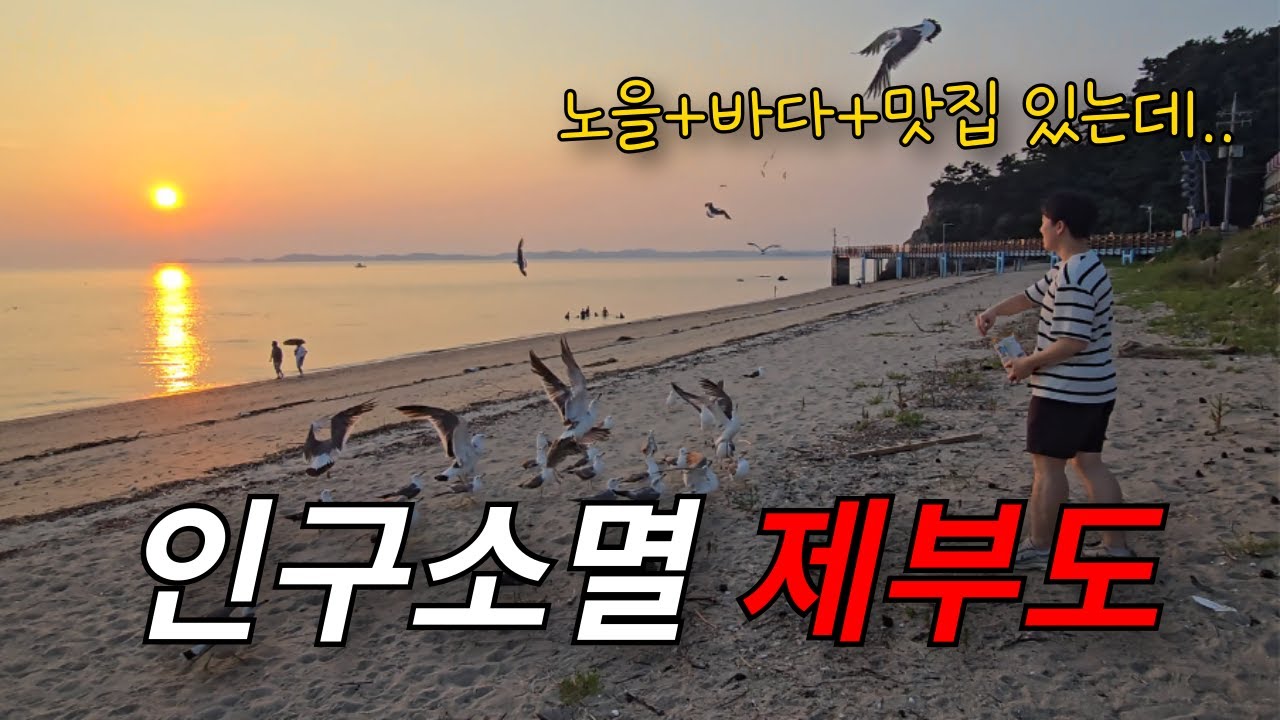 바다, 맛집, 노을 뷰 미쳤는데… 왜 아무도 안 올까? 쓸쓸한 섬, 제부도