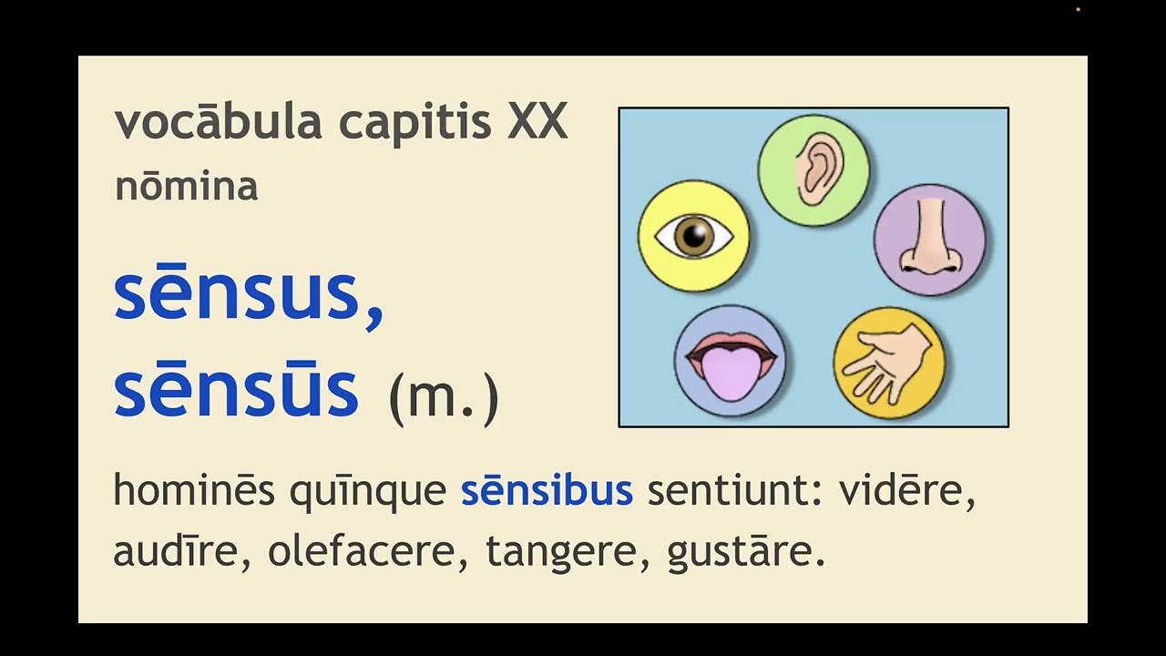 lectūra vicesima: 4th Declension; Ablative of Place from Which & Separation (LTN 101)