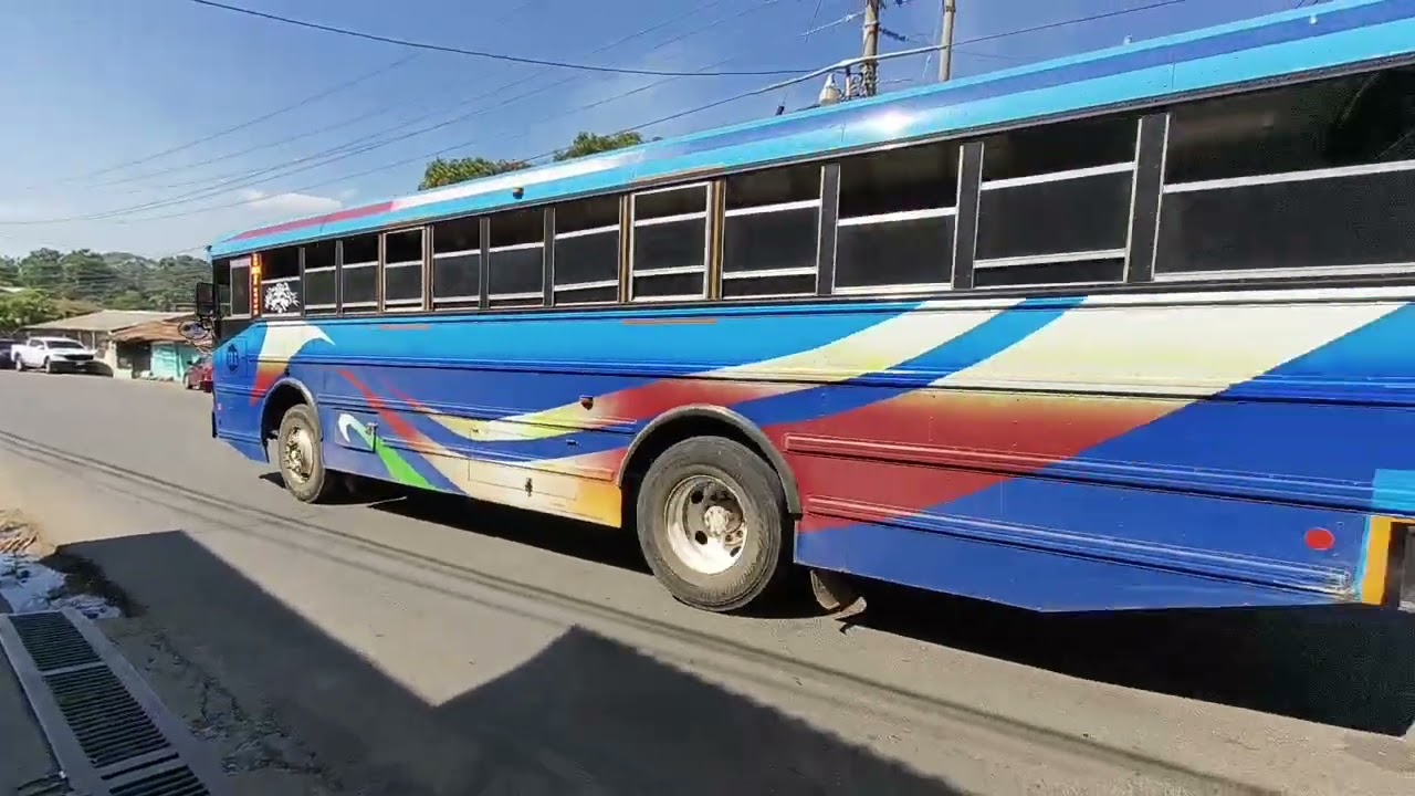 Incendio de maleza genera alarma en colonia La Fortaleza