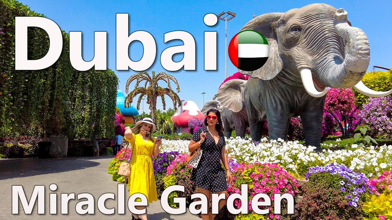 Dubai Miracle Garden Walk Tour 4K🇦🇪