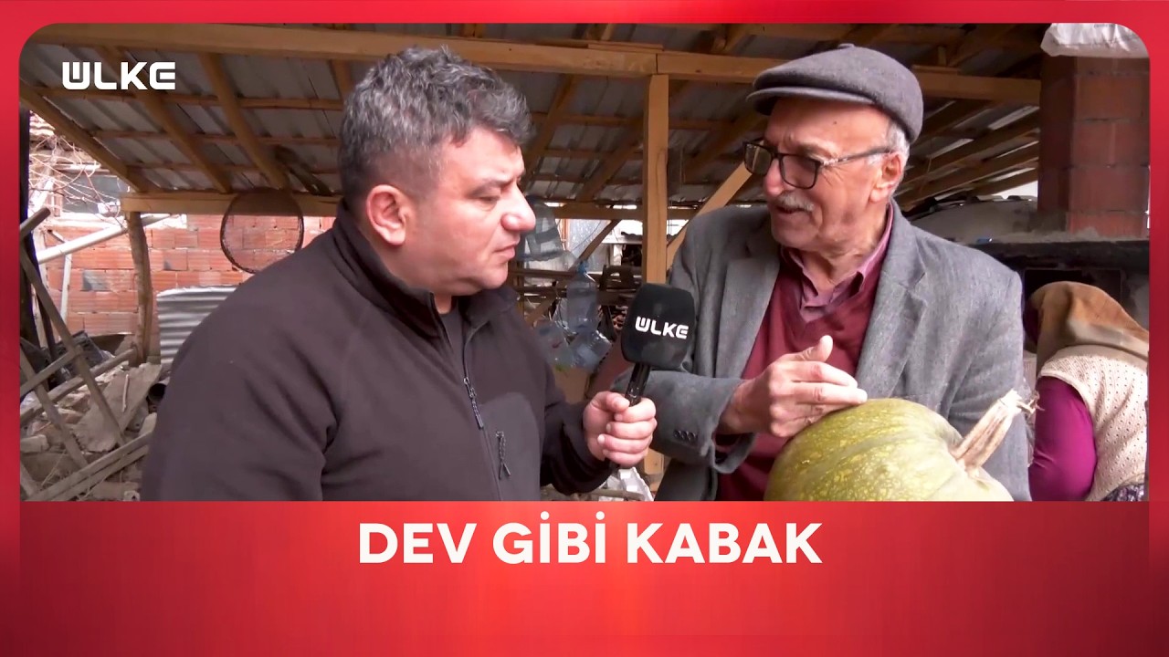 Cemalettin Abi Kabak İşinden Anlamıyorsun Sen | En İyisi Gezmek | Bilecik