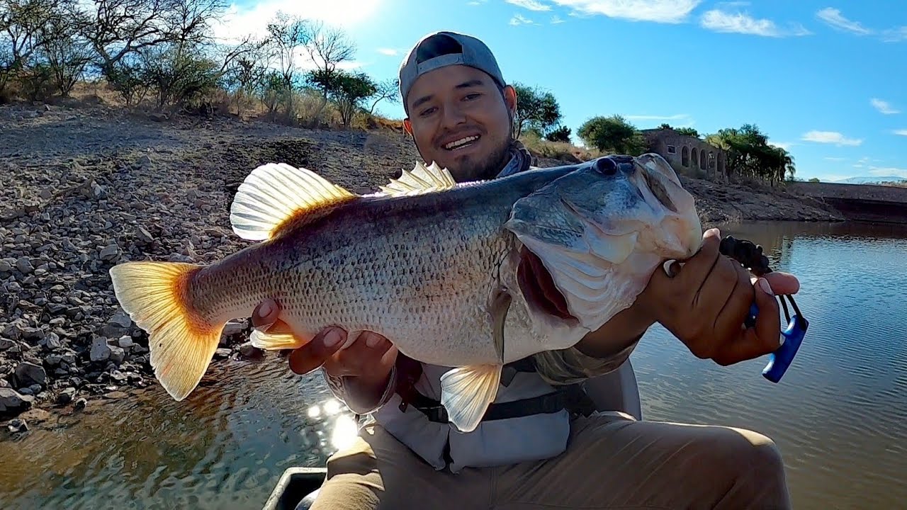 Pesca y Campamento En Esta Hermosa Presa de Zacatecas