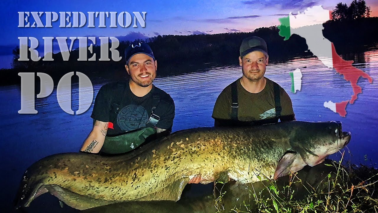 RYBAŘENÍ NA PÁDU A MEGA SUMEC / FISHING ON THE RIVER PO AND MONSTER CATFISH