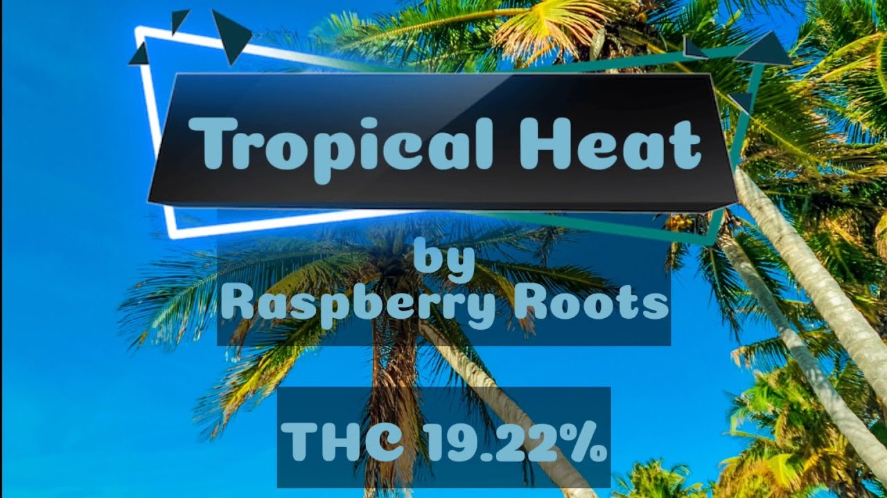 Tropical Heat Strain Review