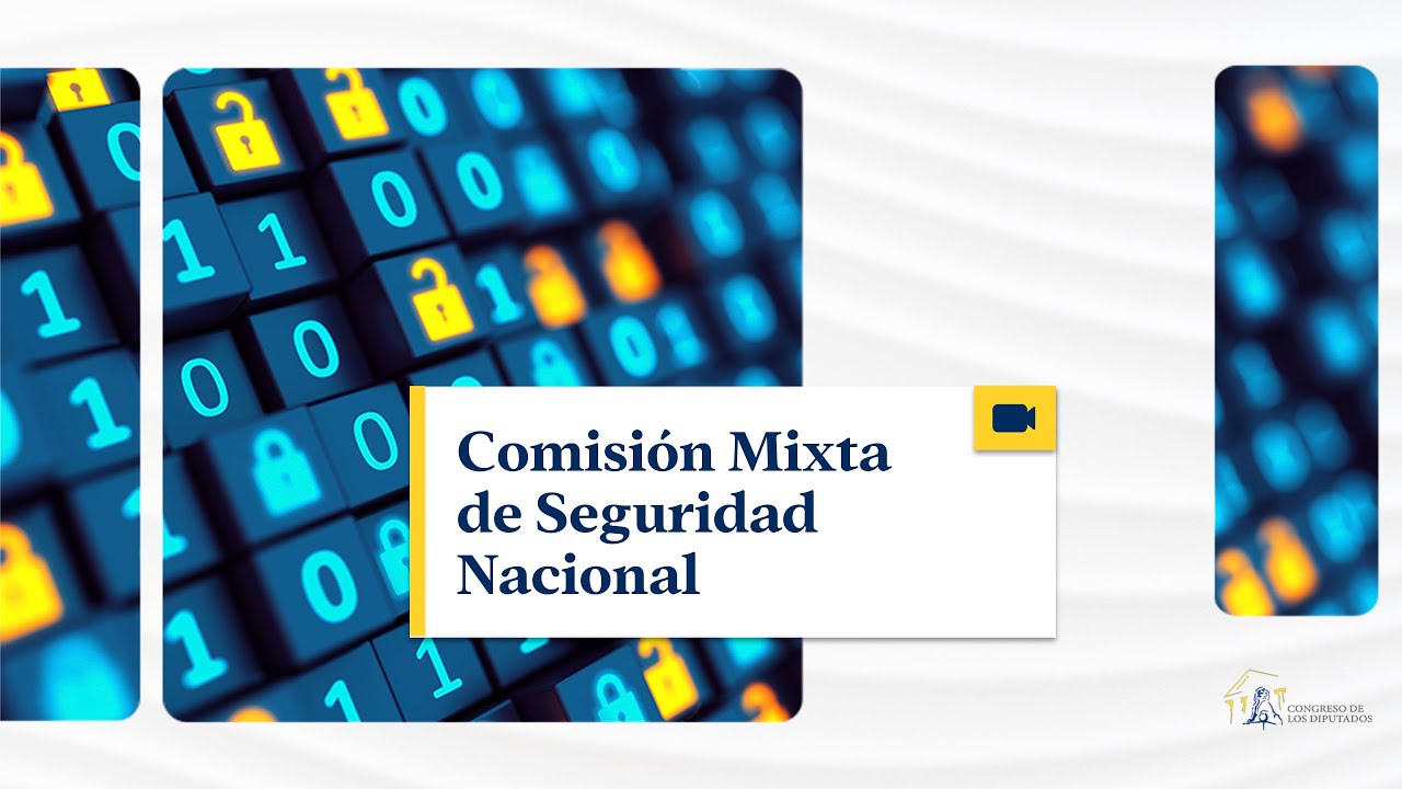 Comisión Mixta de Seguridad Nacional  - 19/02/2026