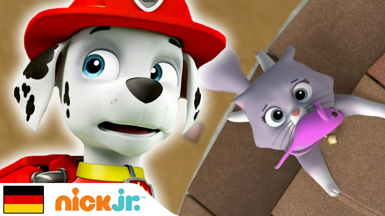 Paw Patrol | Kali ist in Schwierigkeiten! 🐱 | Nick Jr.