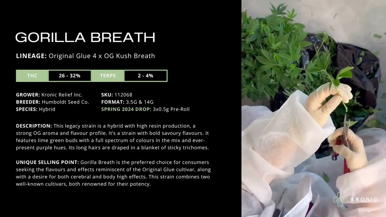 Introducing Gorilla Breath