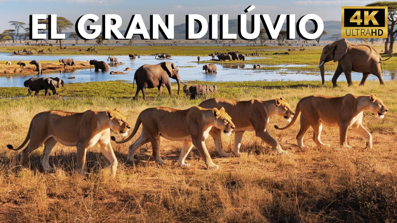 ÁFRICA | DELTA DEL OKAVANGO | Cuando el desierto se convierte en agua | DOCUMENTAL DE ANIMALES