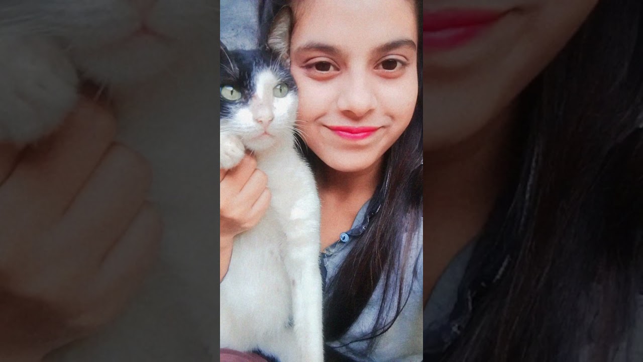 Yesterday my cat died🙂💔 (2019-2023)