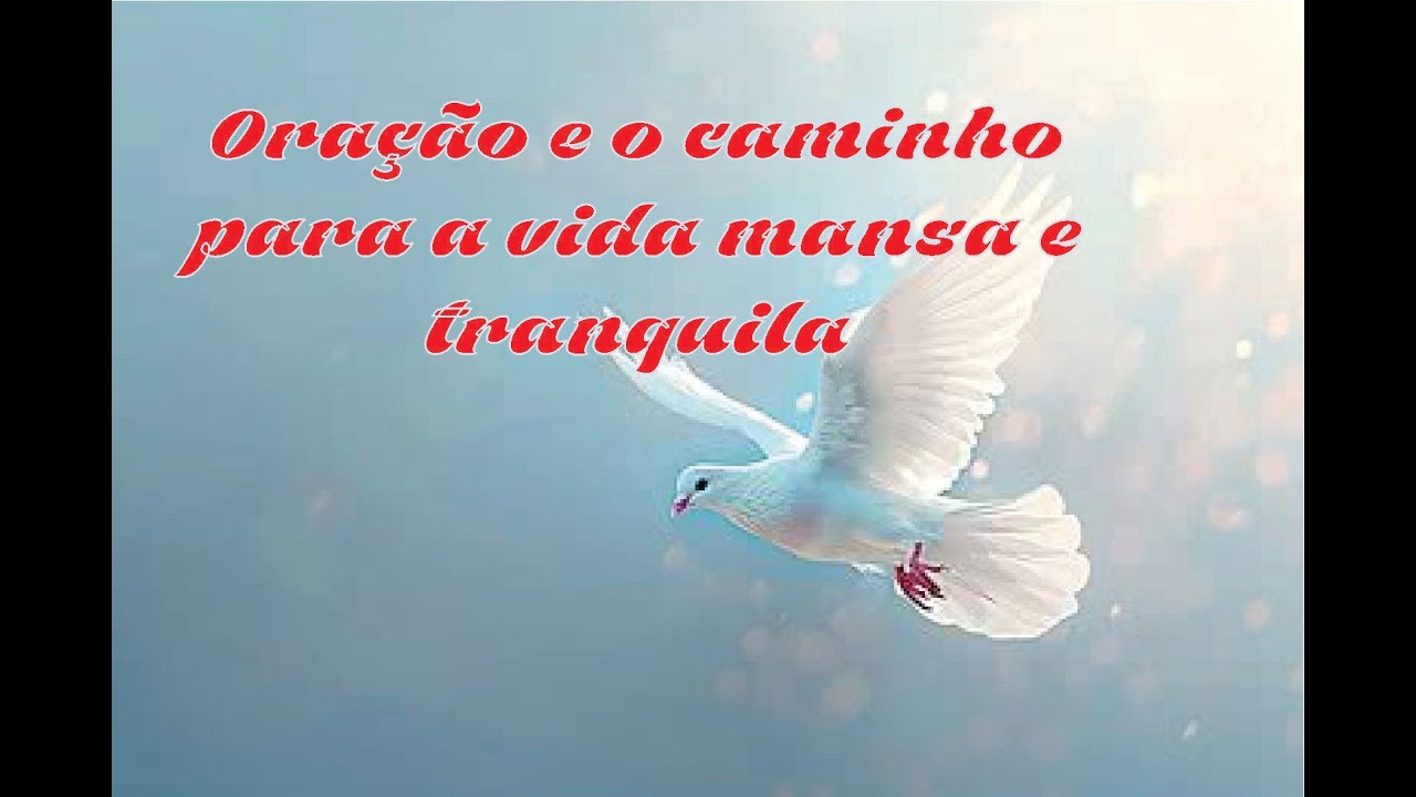 Oração caminho para uma Vida tranquila e mansa