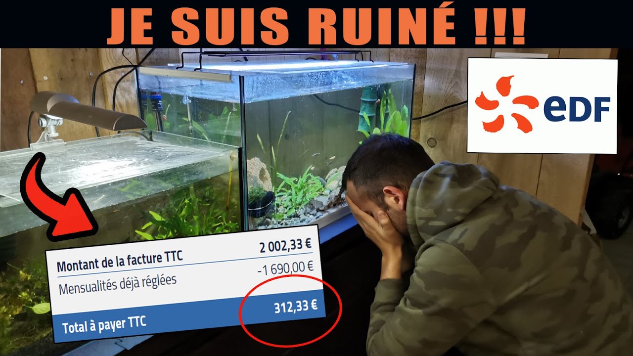COMMENT Réduire sa FACTURE d'électricité en aquariophilie ? [ Riverking ]