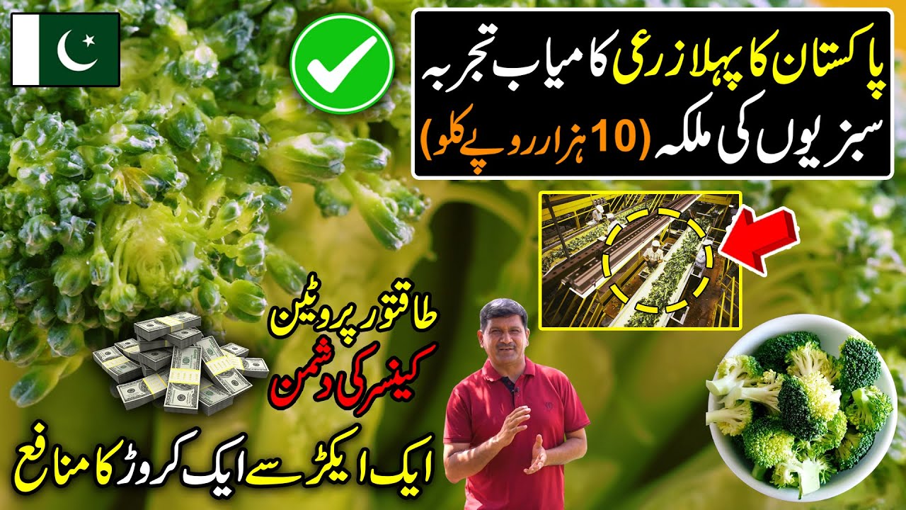 Pakistan Successfully Conducts New Technology Test | Billion Dollars Broccoli Farming in Pakistan