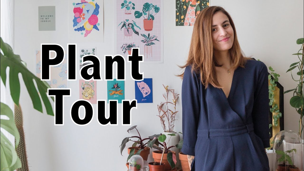 Plant tour 2020 (100aine de plantes dans un 40m2) | Vertbobo