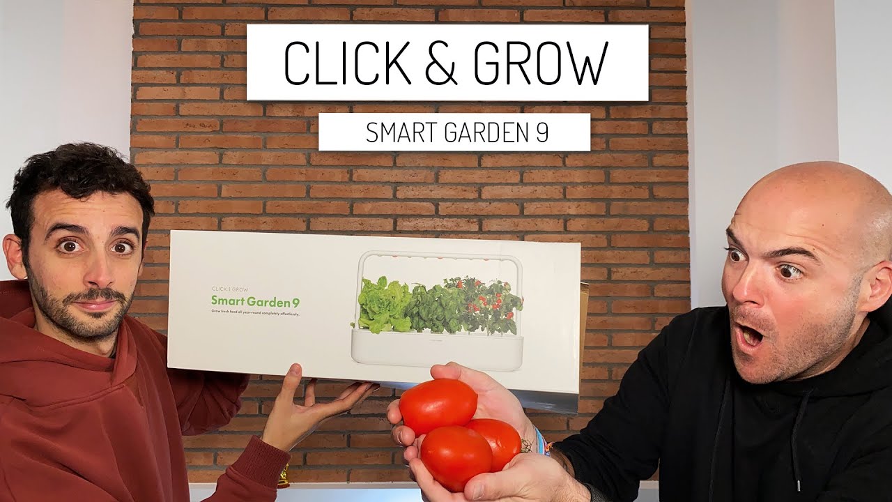 Sembrar dentro de casa con Click and Grow