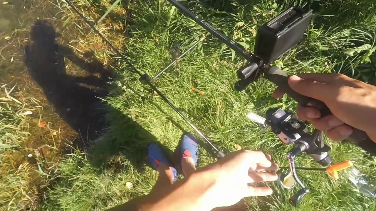 Ein Sonntag an der Neuen Donau