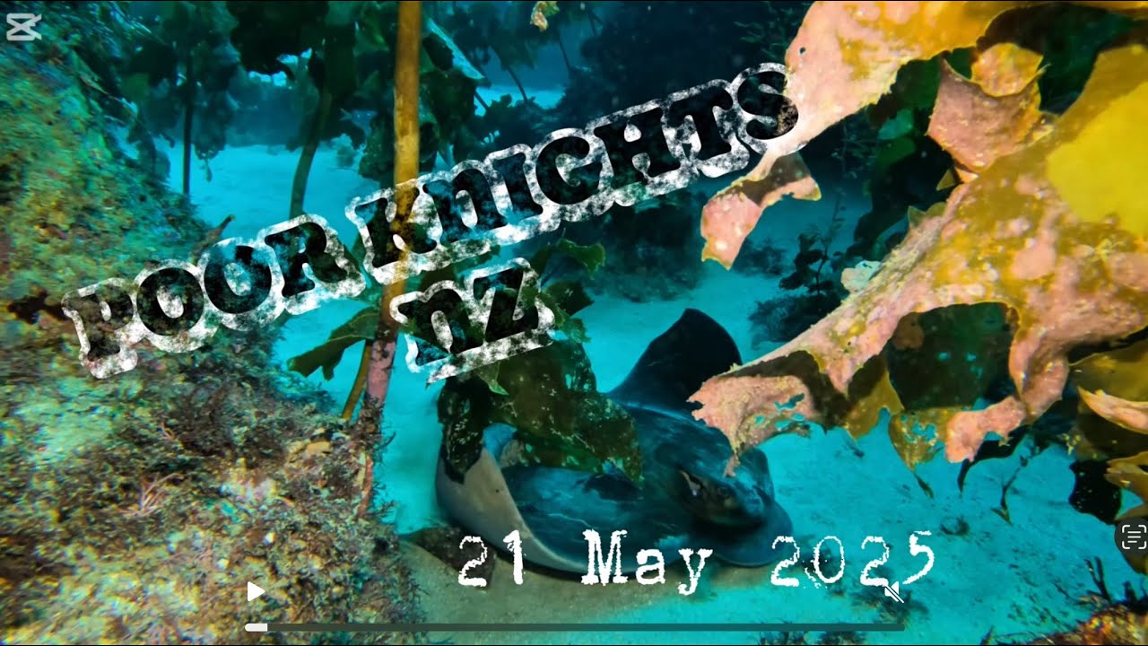 Poor Knights Diving. 21 May 2025