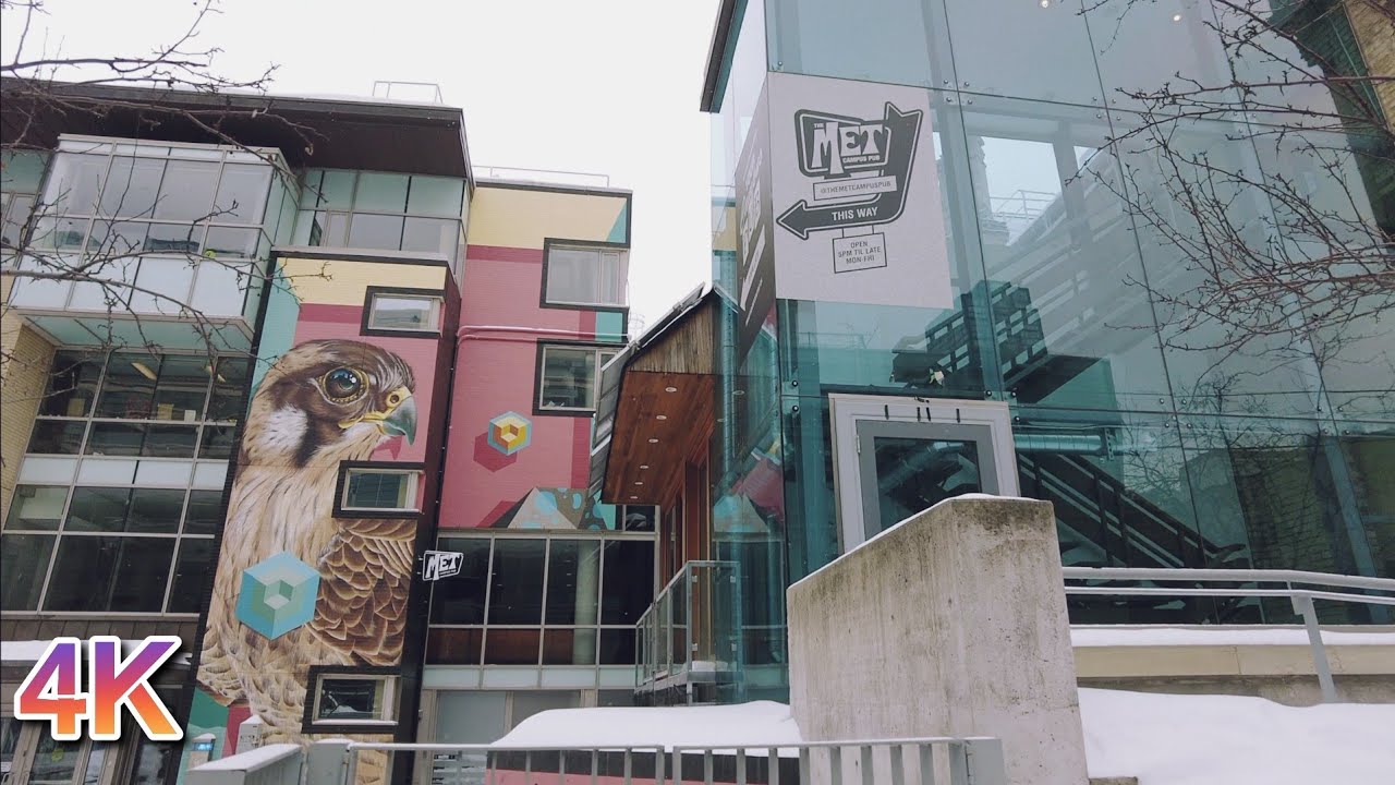 🇨🇦 [4K] Toronto Walk - Church Street, Dundas to Wellesley