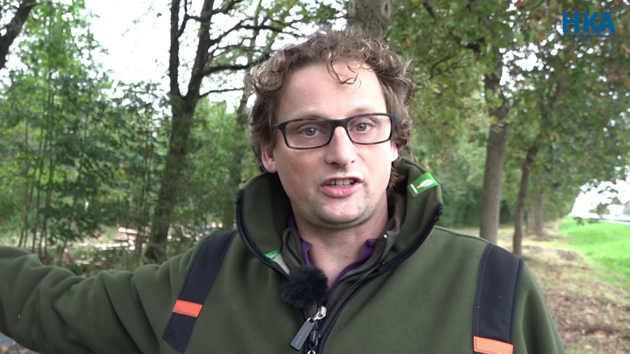 Reportage: Slachting onder Essen in Robbenoordbos en Dijkgatbos