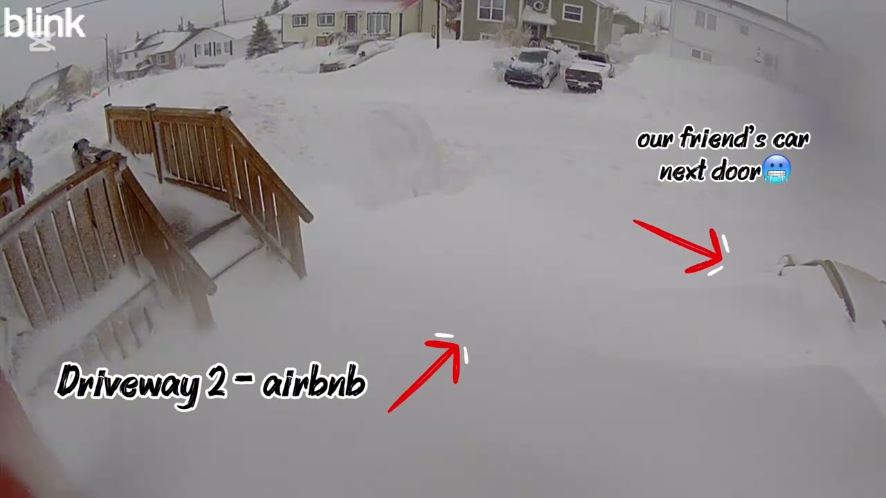 Snow Storm in Newfoundland | Blink camera recording