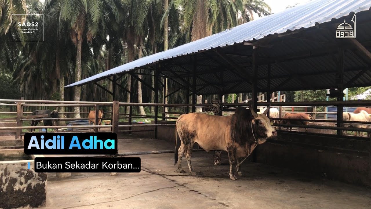 2025 05 24 SAQS2 Aidil Adha Bukan Sekadar Korban