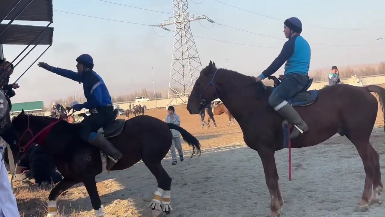 Жуалы ауданы Б.Момышұлы ауылы 29.11.2025.