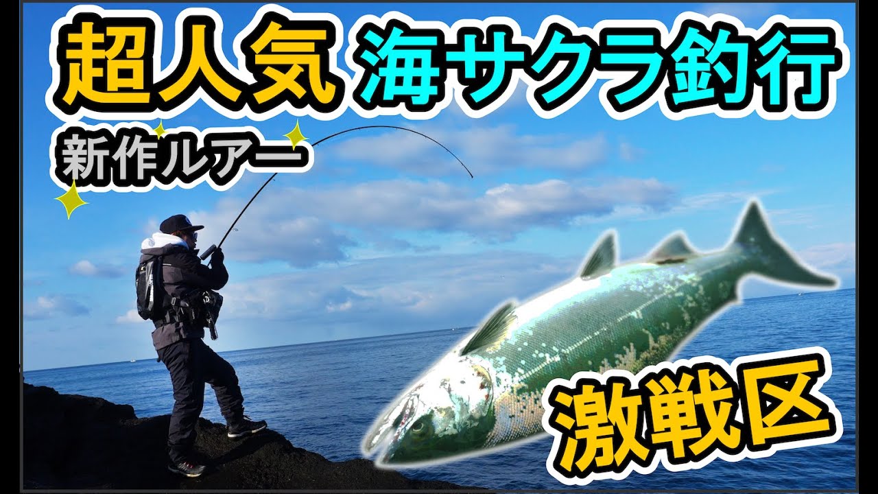 【超人気 激戦区】NEWアイテムで楽しむ 北海道 海サクラ釣行