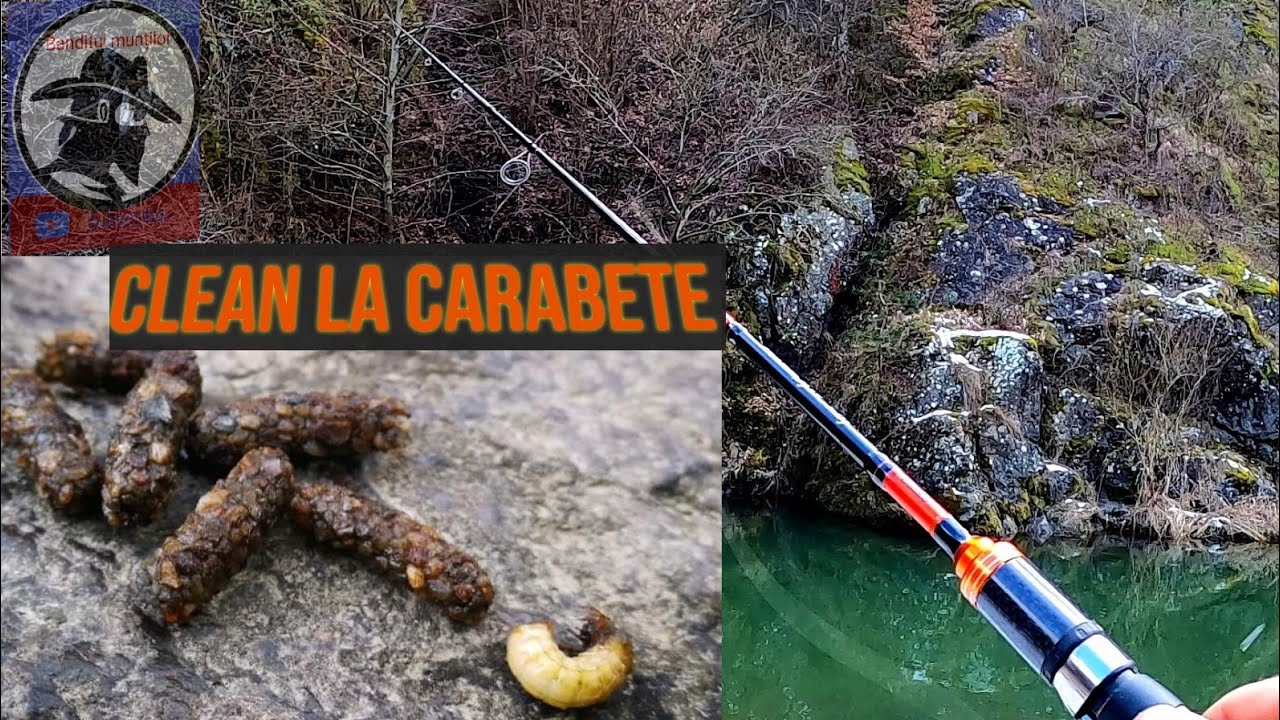 Clean la carabete în sezonul rece. 30 ianuarie 2021..