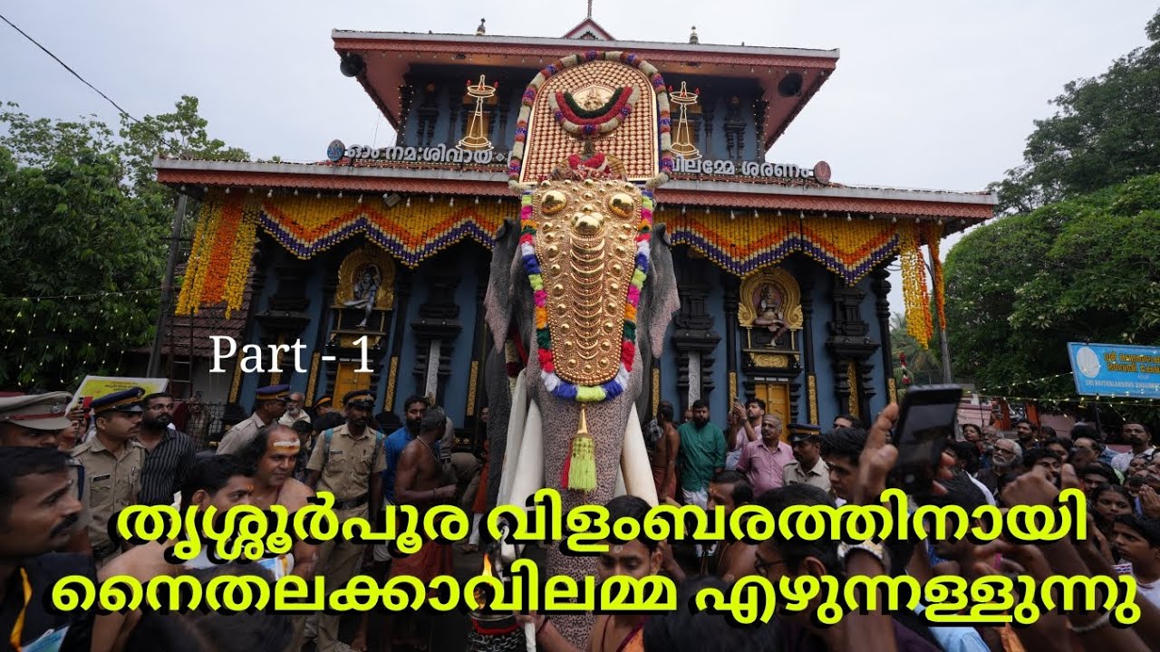 നൈതലക്കാവിലമ്മ പൂരവിളംബരത്തിനായി വടക്കുംനാഥസന്നിധിയിലേക്ക് #pooram  @banishpamboorstories