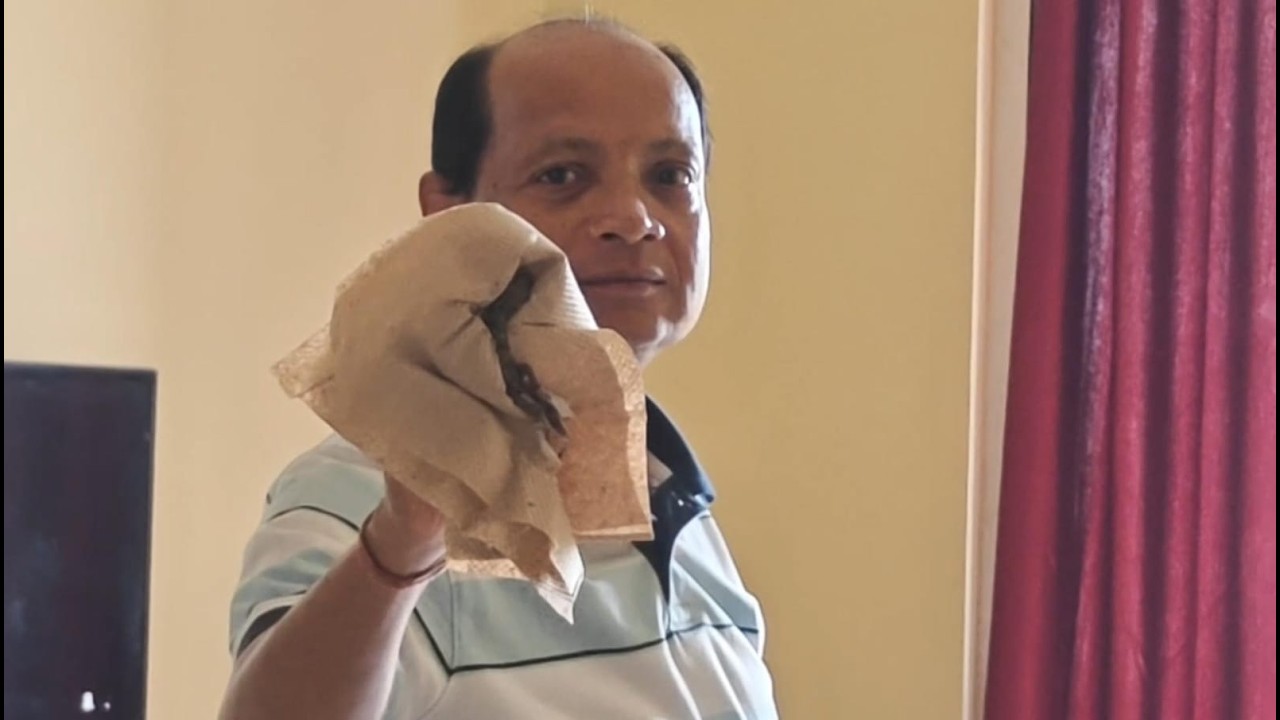 ଘରେ jhitipiti attack?! 😳🦎 Bapa nka hero entry! 🦸🏽‍♂️#odiavlog #vlog