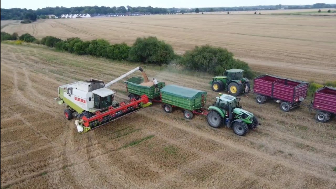 żniwa 2025/dwa odwozy/claas lexion 460 