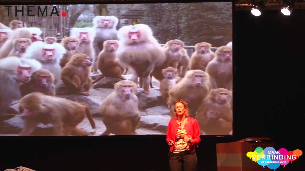 Jitske Kramer over verbinding door Deep democracy