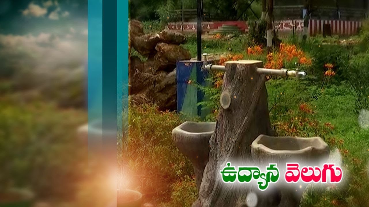 Velugumatla Urban Park | Another Feather in Khammam's Crown | Lends Pleasant Scenes to Tired People