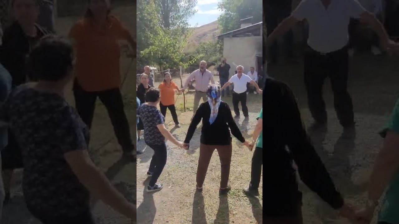 Pelegoz Lolanlar Halayda