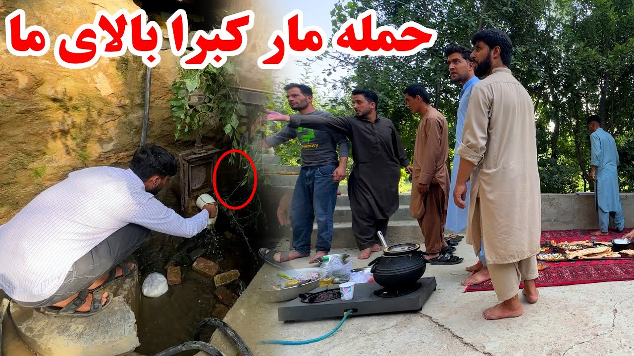 حمله مار کبرا بالای ما در جریان میله بهاری