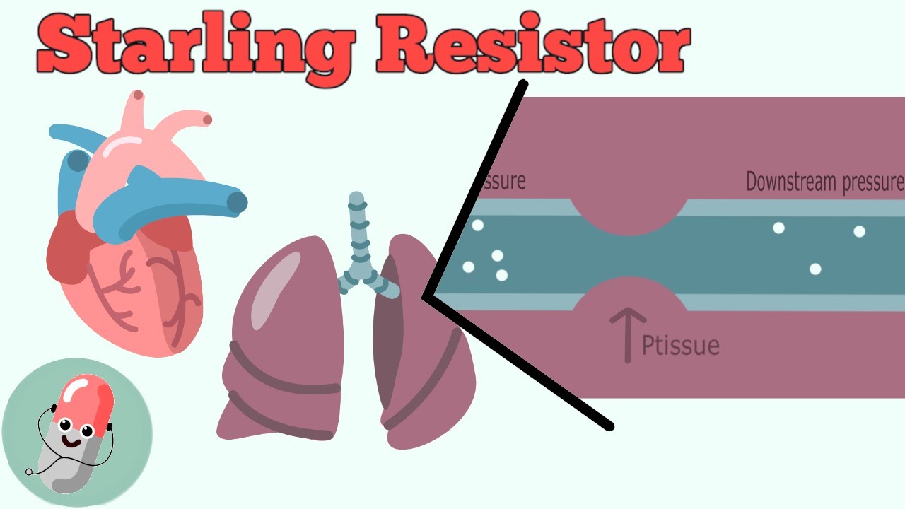 Starling Resistor