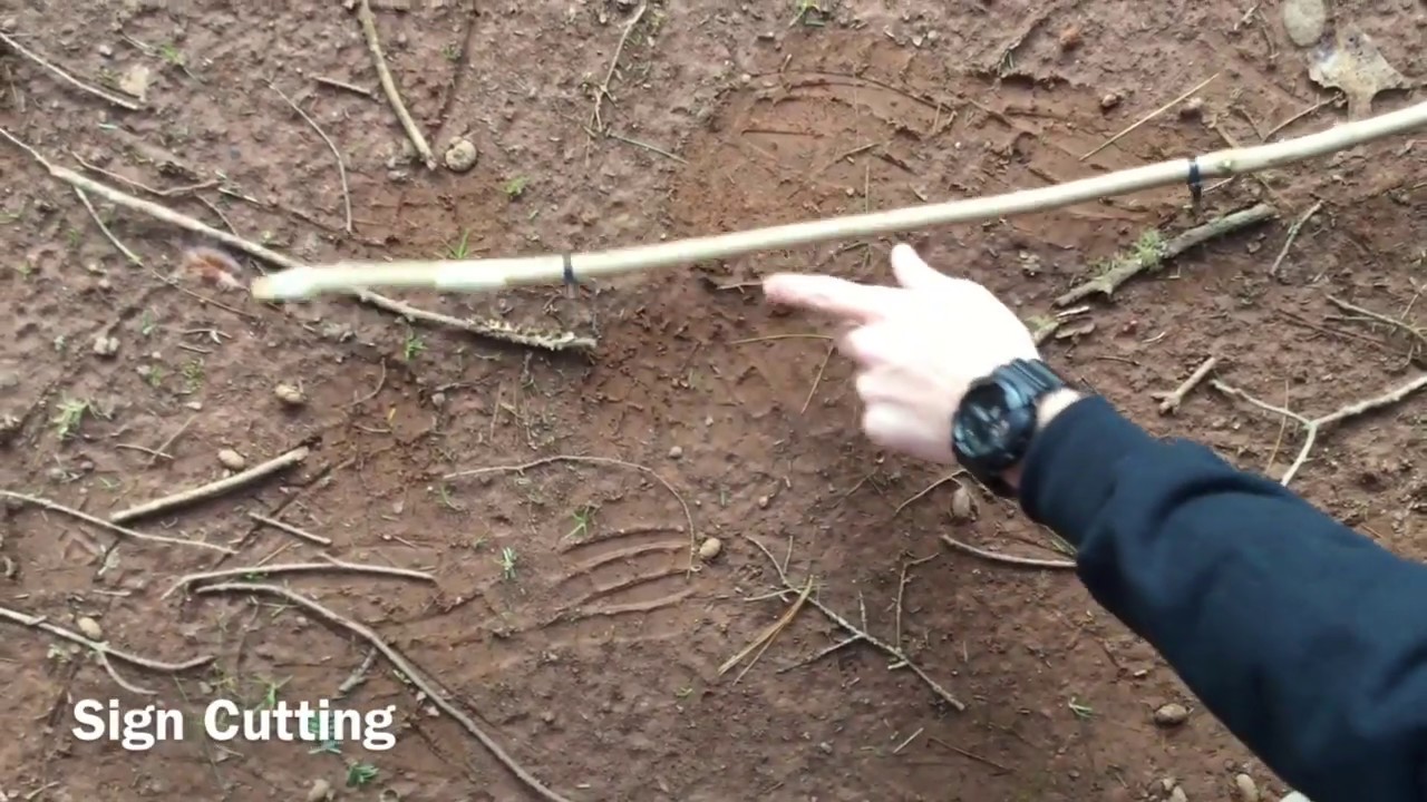 Sign Cutting Video