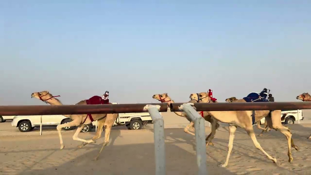 الشوط الرابع 