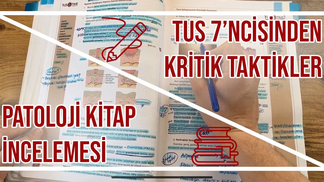 Patoloji Kitaplarıma Nasıl Çalıştım? | TUS Kitap Çalışma Analizi ve Taktikleri