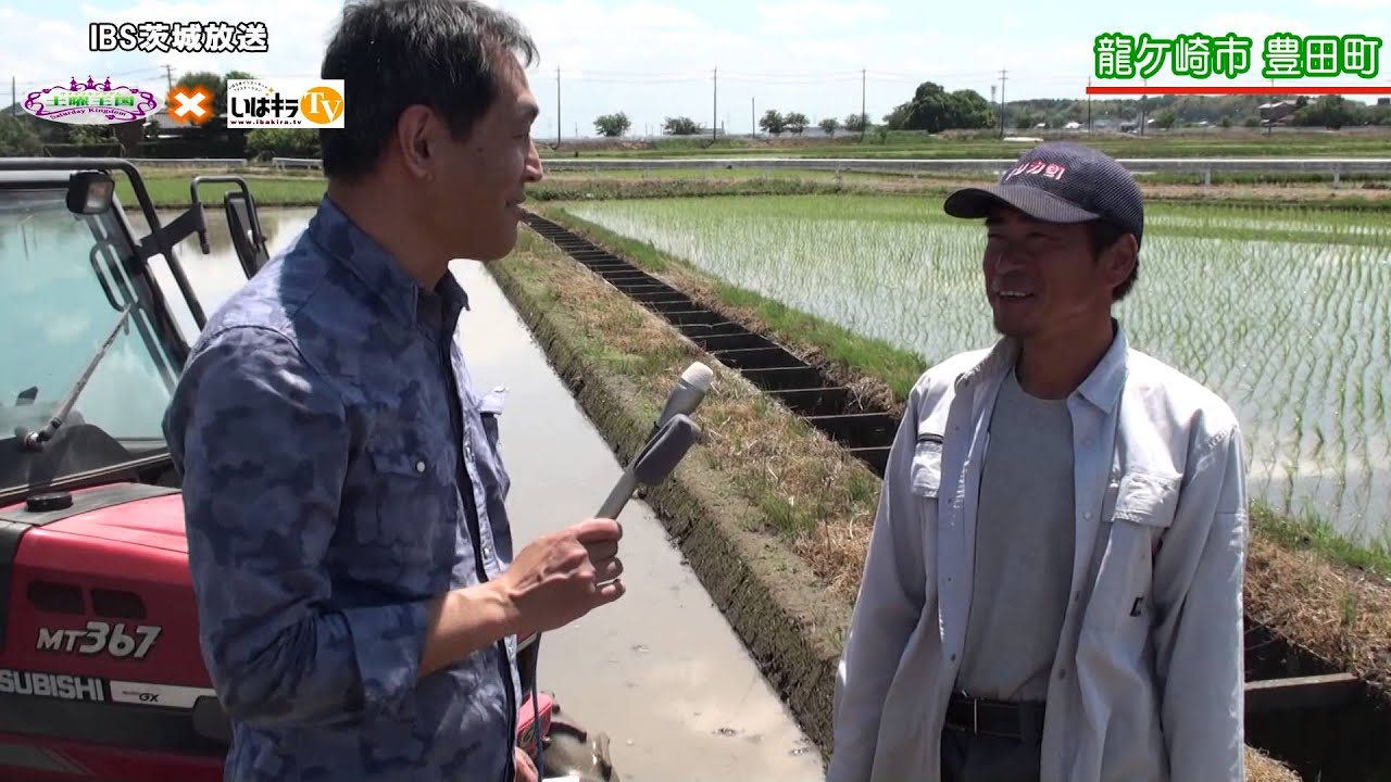 とことんいばらき「龍ケ崎市豊田町」〈龍ケ崎市〉IBS（2015.5.27）