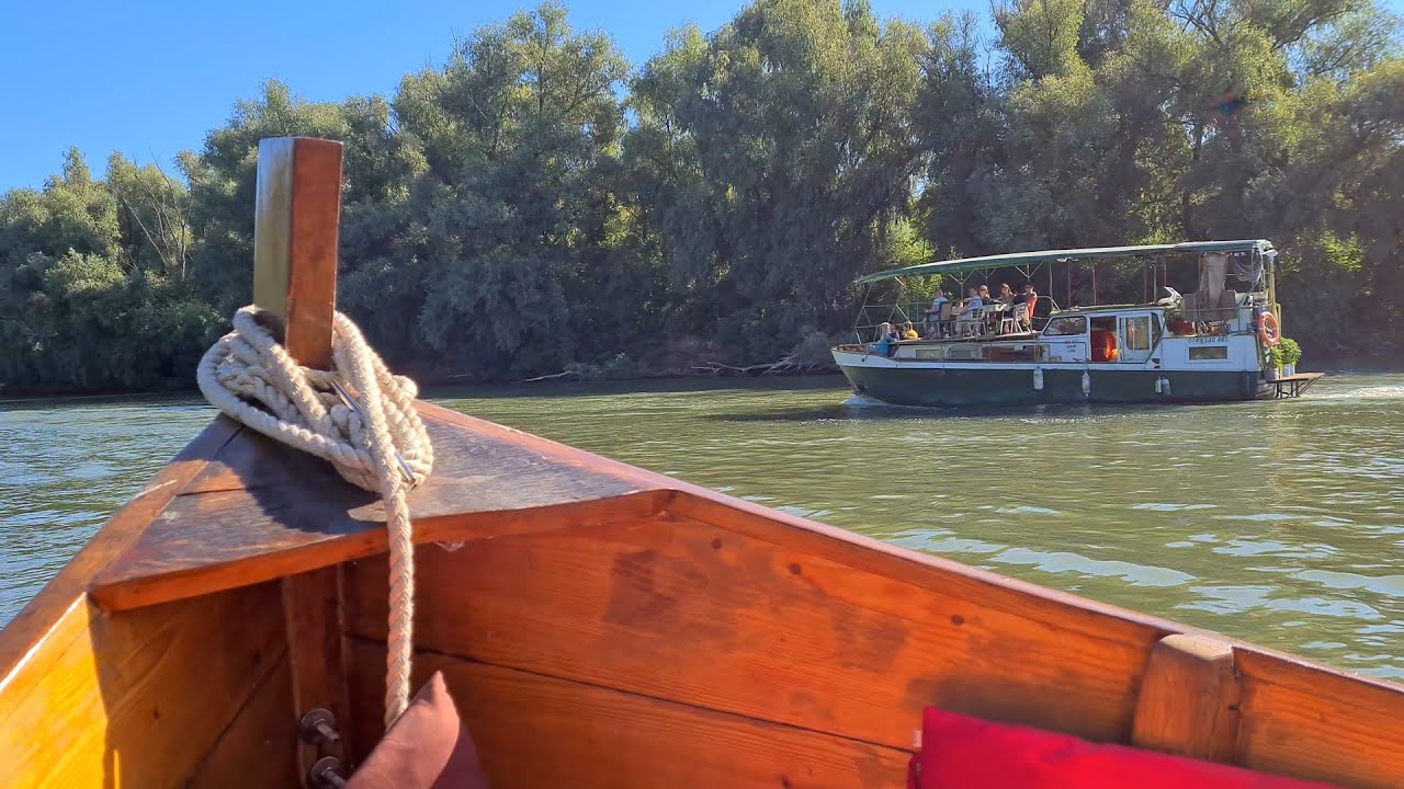 Plimbare cu barca in Delta Dunarii, 2021