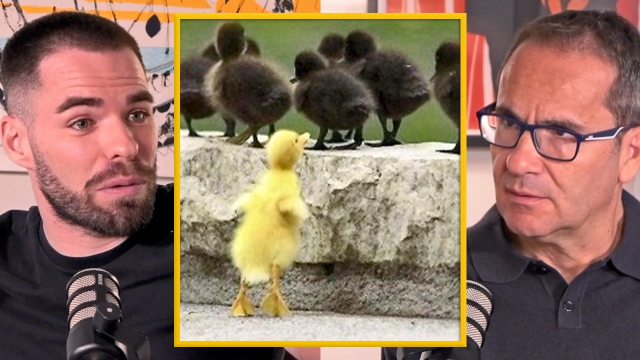 Xenofobia en la Naturaleza: Cuando los Animales Rechazan al Diferente – @MarioDeWonder