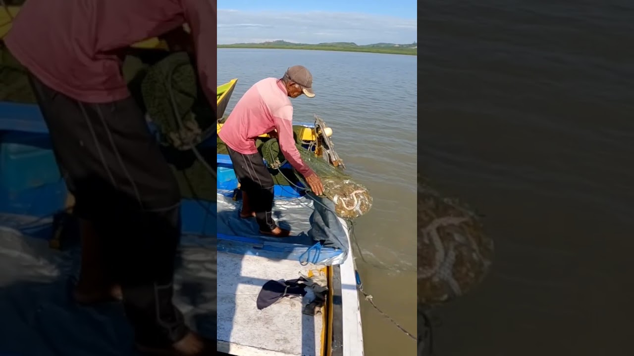 Berburu udang Trawl nelayan perbatasan @saungdayakangler2543
