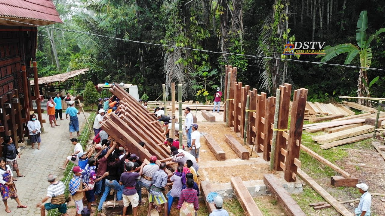 Beginilah Gotong Royong Warga Kampung Membangun Rumah Adat Toraja
