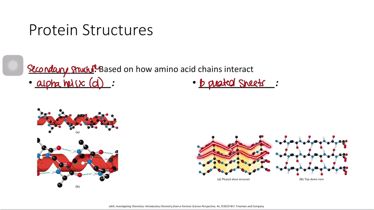 CHEM& 110: Proteins 