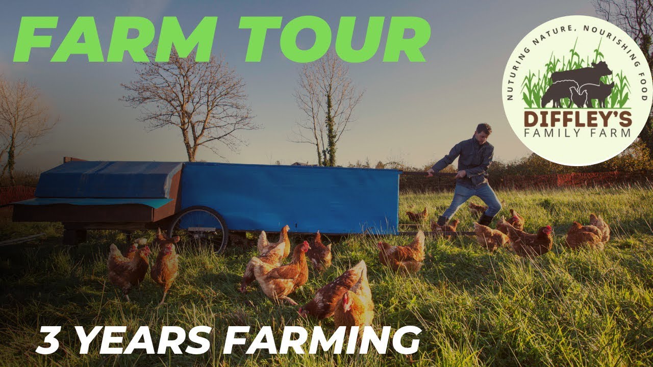 3 years on!! How are we doing as novice farmers?