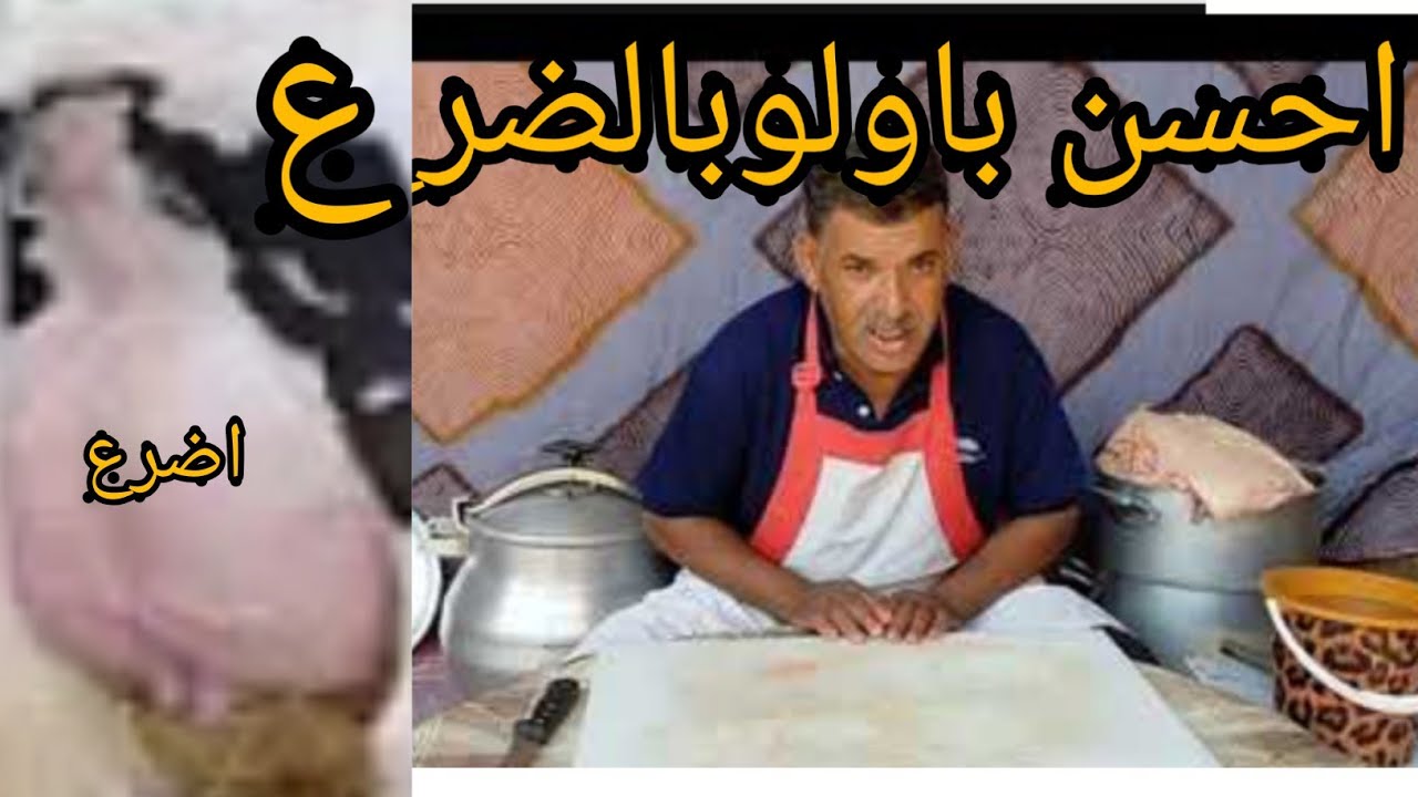 جديد باولو : بالضرع ولحم الرأس تلبگري
