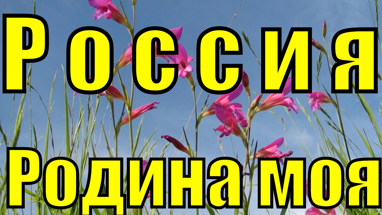 Песня Россия Родина моя Группа Ультиматум песни о родине России