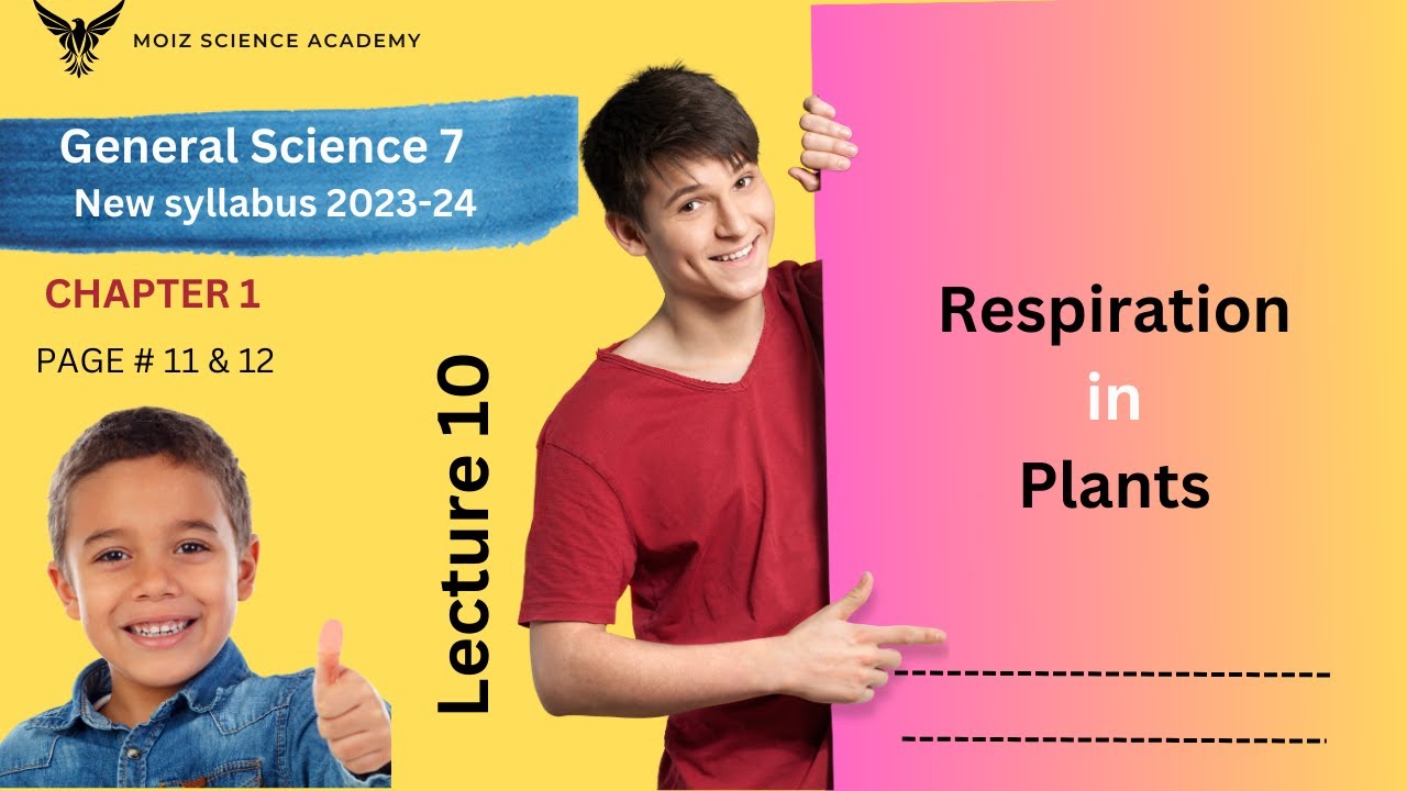 Respiration in Plants | New science book class 7