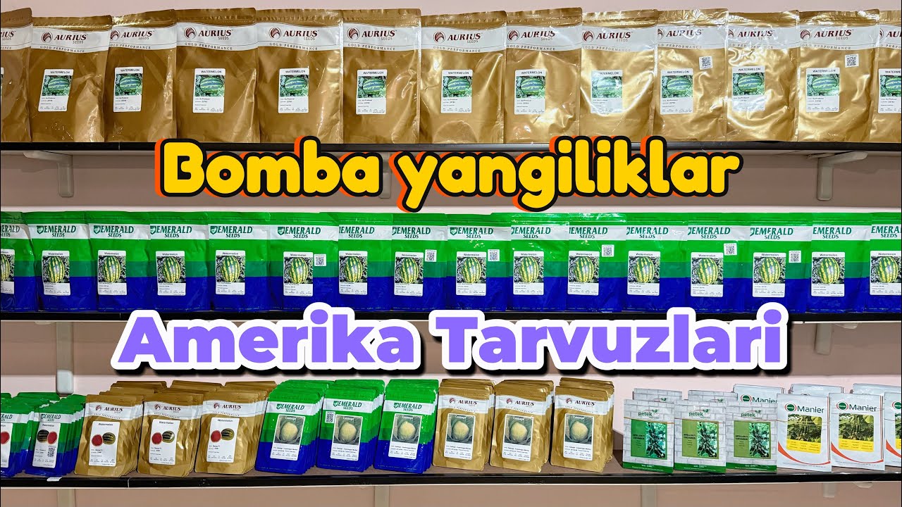 Amerikadan Tarvuz urug navlari Aurius va Emerald Dostafka bor Tel: +99833 301 90 90 +99893 533 95 55