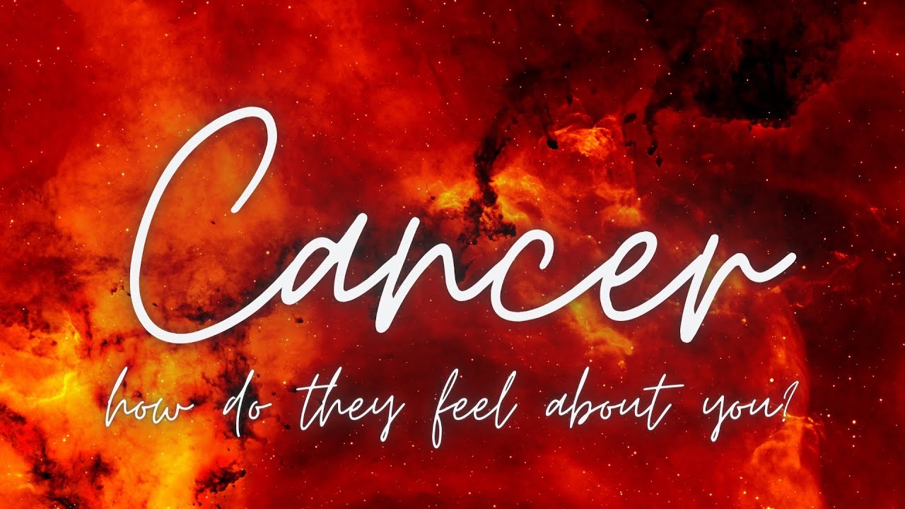 Cancer❤️They want you back! They regret missing the opportunity with you in the past✨